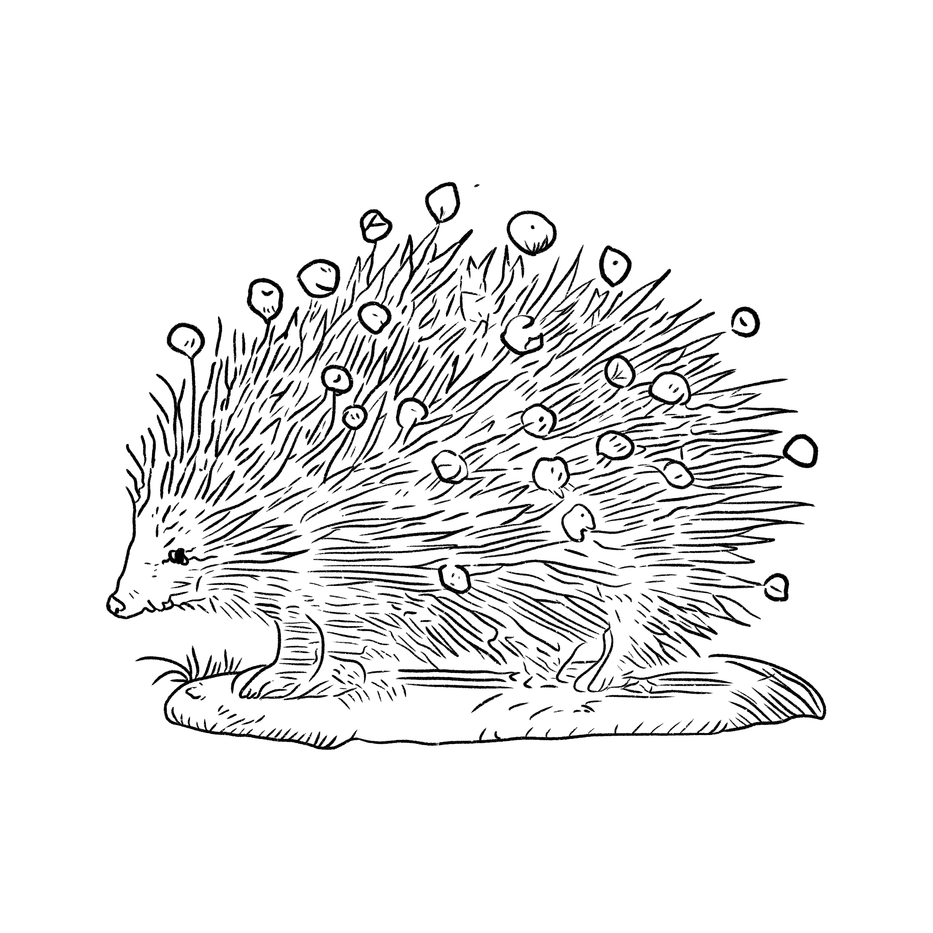 Adsız_Resim 9
